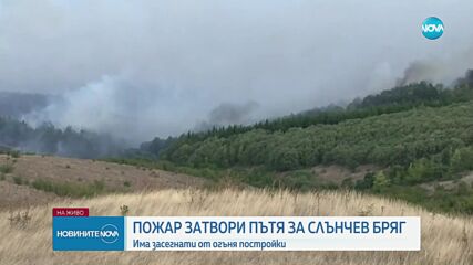 Пожар затвори пътя към Слънчев бряг, гори гора край бургаски села
