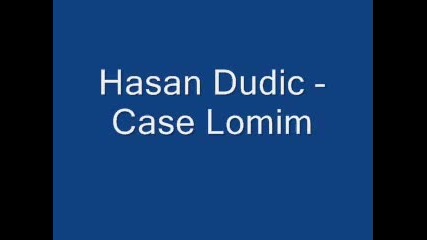 Hasan Dudic Case Lomim 