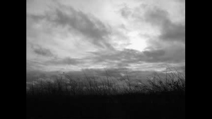 Nest - Call of the Wild 