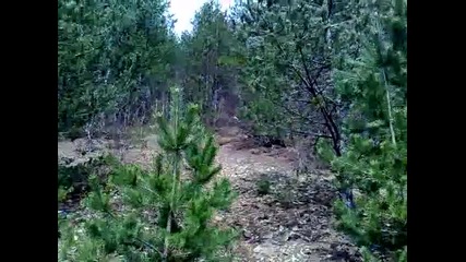 Спас по огойския сипей 