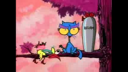 The Dirdy Birdy