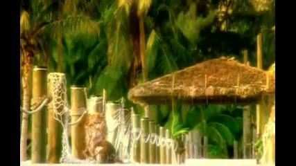 Heat Hunter - Revolution in paradise 