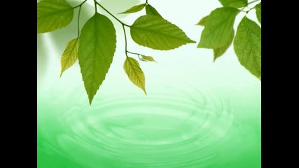 Relaxing Sounds - Spring Morning