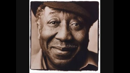 Muddy Waters Forty Days and Forty Nights