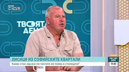 Лисиците стават все по-чести гости в столичните квартали