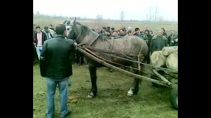 На Коциьо Вилето