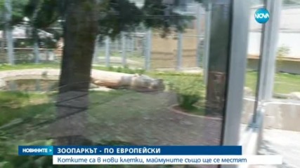 Столичният зоопарк - по европейски
