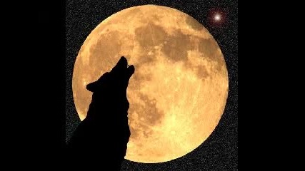 Bate Pesho feat. Tina - Wolf