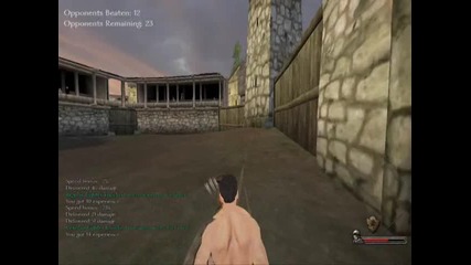 Arena Battle