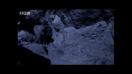 Bbc Animals Underground Elephants! - Elephant Cave 