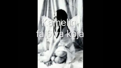 Kameliq - Fal6iva Koja