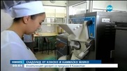 Направиха сладолед от мляко на кон и камила