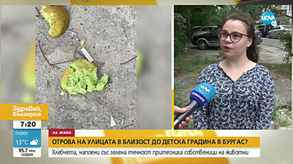 Отрова на улицата в близост до детска градина в Бургас?