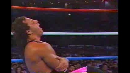 Bret Hart vs Tiger Mask Ii