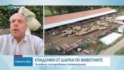 От началото на годината огнищата на шарка по животните са около 60