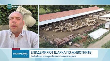 От началото на годината огнищата на шарка по животните са около 60