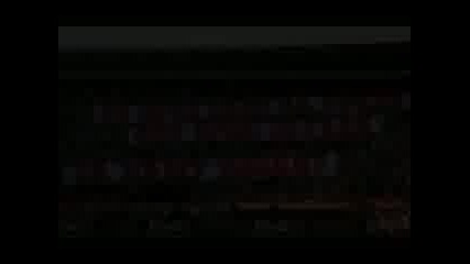 Crvena Zvezda - Delije Sever