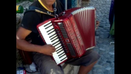 Bosanski lip muzicar