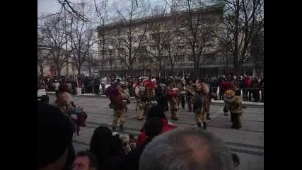 Lesnovski mechki v Pernik 