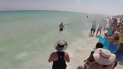 Хора дърпат акула към брега, за да я освободят от корда