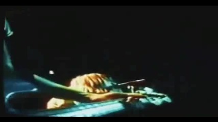 Mudhoney - Touch Me Im Sick 