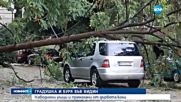 "Моята новина": Дърво смаза кола след силна буря във Видин - късна емисия