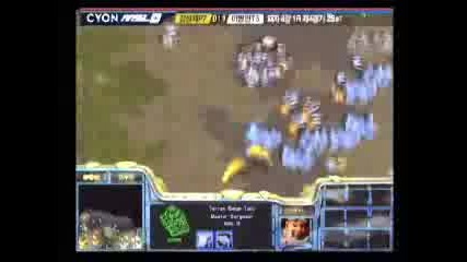 2005 Starleague Best Highlights