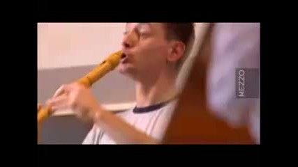 Vivaldi, Concerto per mandolini