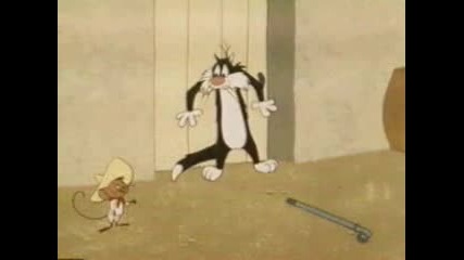 Speedy Gonzales - Cats And Bruises 