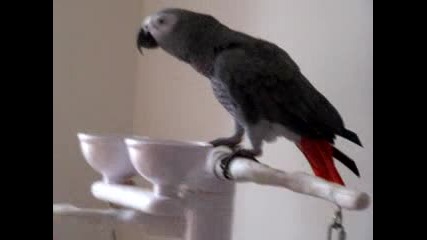 beatboxing