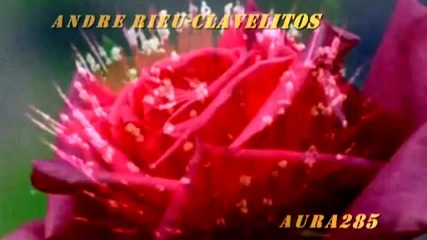 Andre Rieu Clavelitos