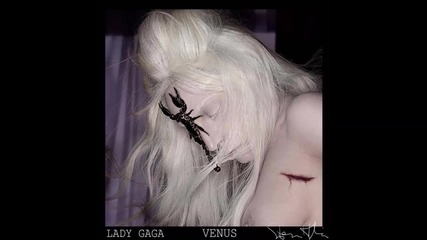 Lady Gaga - Venus ( A U D I O )