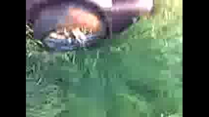 Katastrofa S Korado