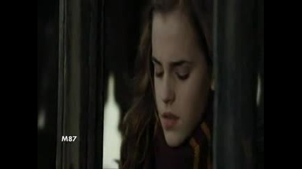 All about them - Harry & Hermione