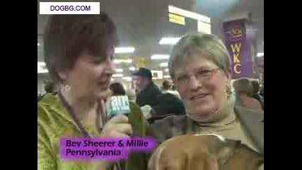 Westminster Kennel Club Dog Show 2007