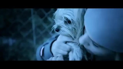 Kostas Martakis - I Agkalia mou