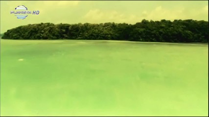 Глория - Кралица
