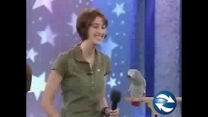 Animal planet - много забавна птица !
