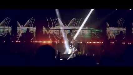 Morten - Perfect Dive
