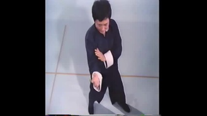 Wing Chun - The Science of Fighting (wong Shun Leung) - 2