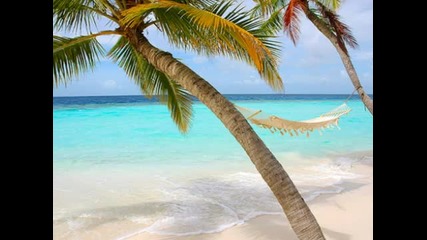 Dj Next - Summer Hit 2010 (electro House )