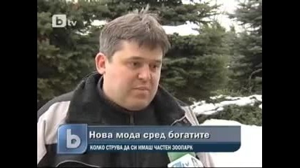 Tри тигъра и един ягуар намерени при операция Октопод