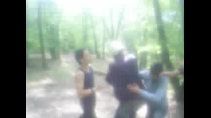 Селски Изпълнения В Гората