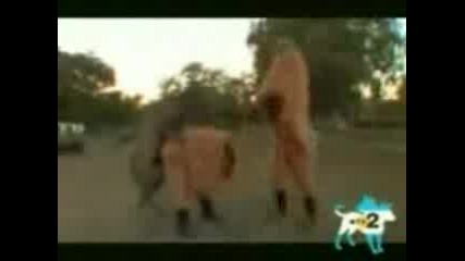 Fun Clip 3