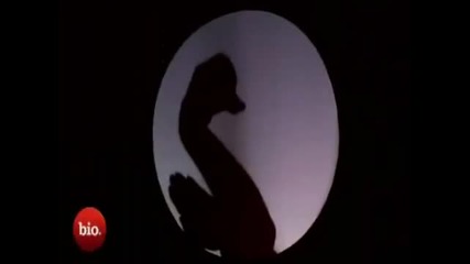 amazing show 
