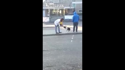 Пияна жена и кучешко лайно