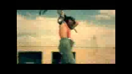 Palamore - crush