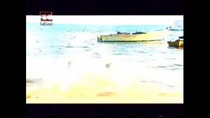 Tamara - Como le explico