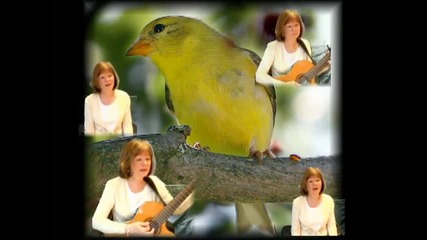 Yellow Bird