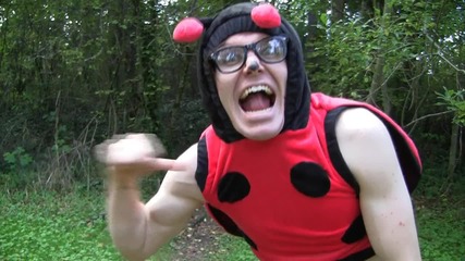 I'm A Ladybug